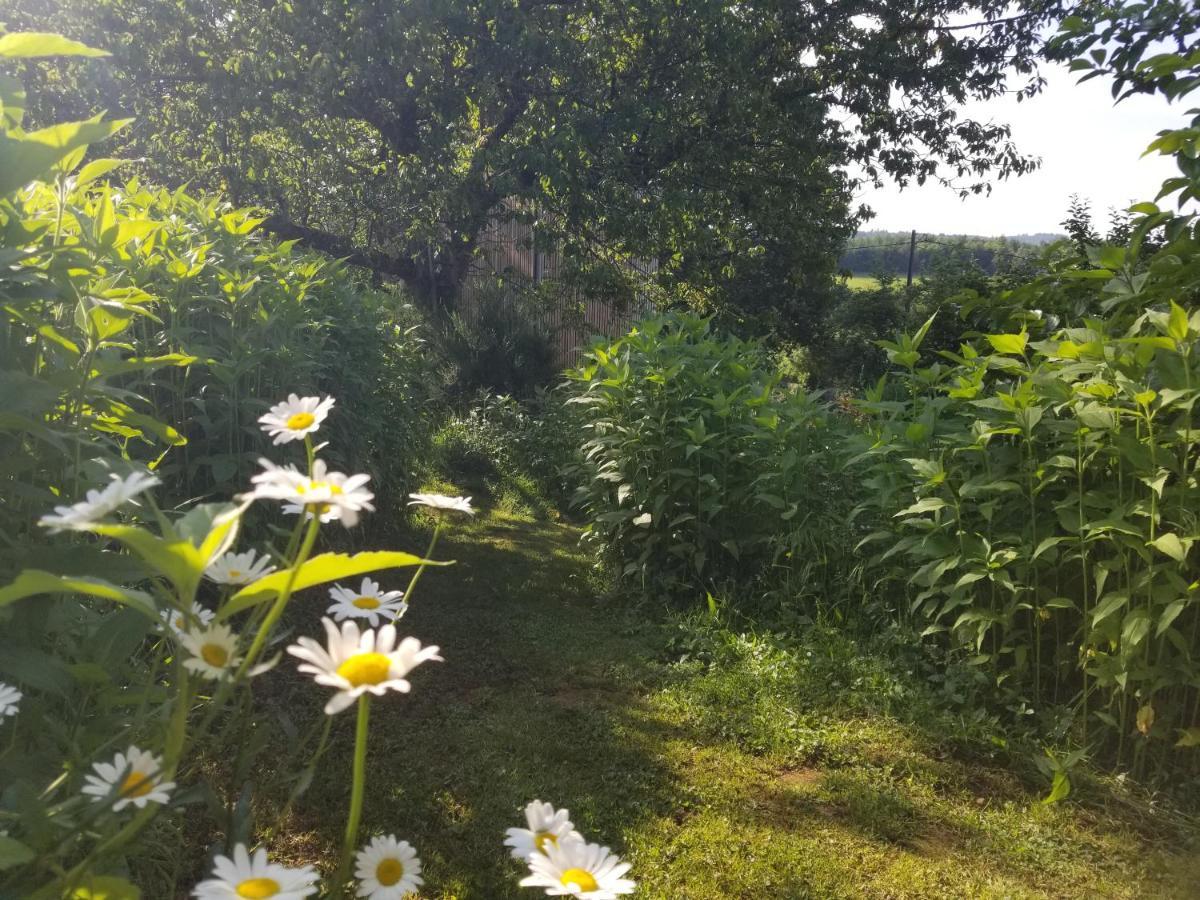 Le Petit Paradis, Mini Maison,Nature,Confort,Calme Saint-Julien-le-Petit Εξωτερικό φωτογραφία