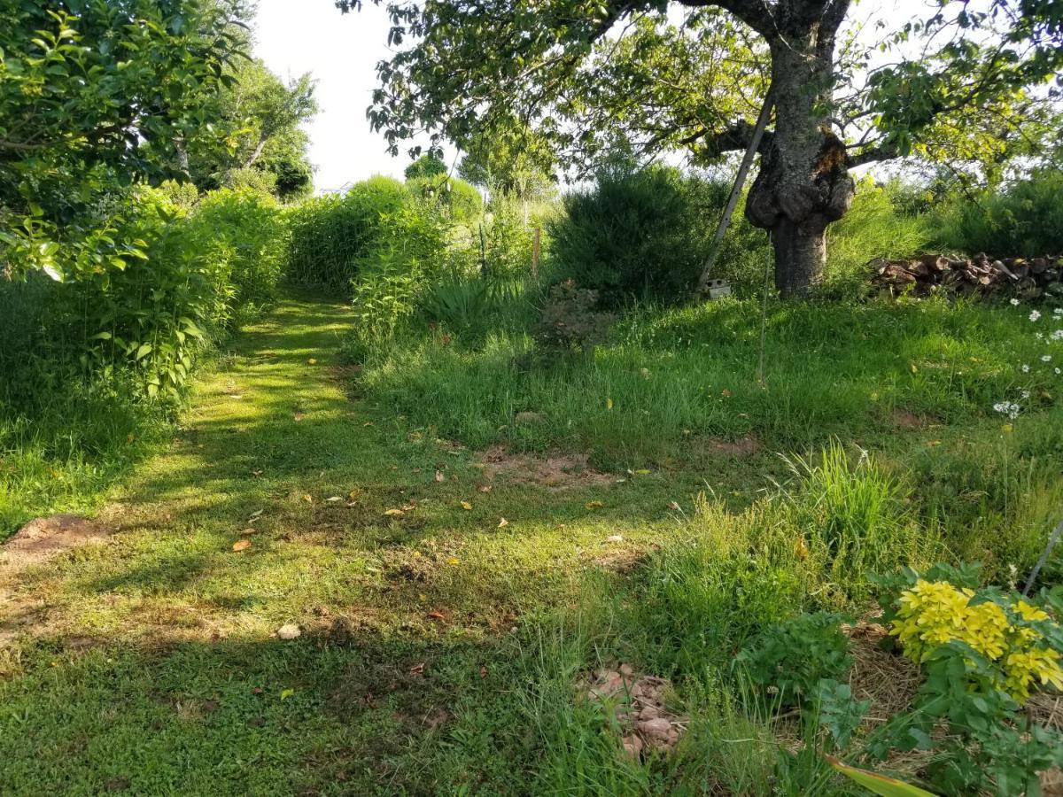 Le Petit Paradis, Mini Maison,Nature,Confort,Calme Saint-Julien-le-Petit Εξωτερικό φωτογραφία