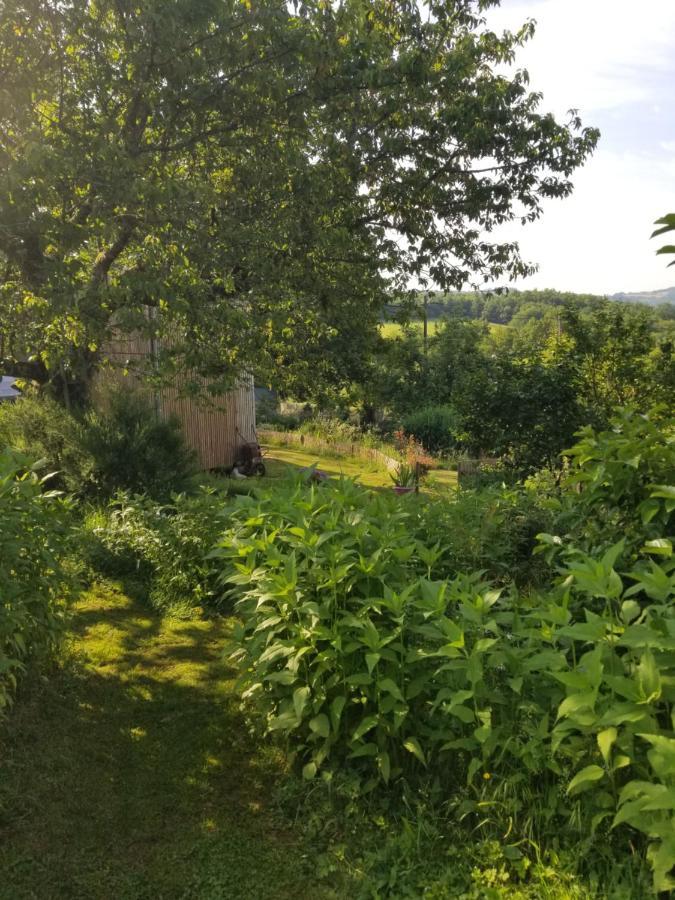 Le Petit Paradis, Mini Maison,Nature,Confort,Calme Saint-Julien-le-Petit Εξωτερικό φωτογραφία