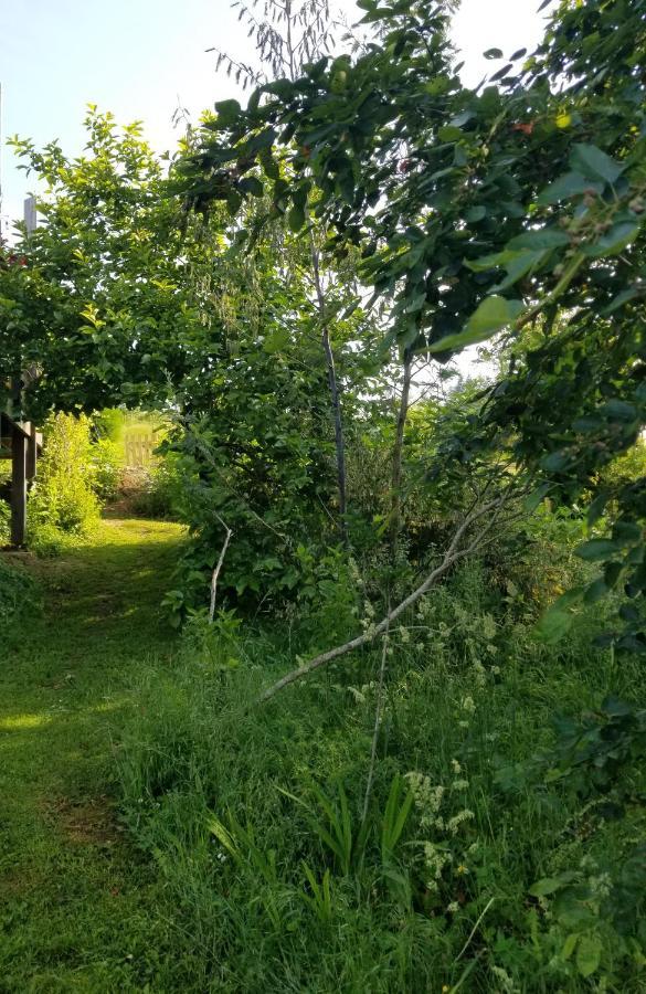 Le Petit Paradis, Mini Maison,Nature,Confort,Calme Saint-Julien-le-Petit Εξωτερικό φωτογραφία