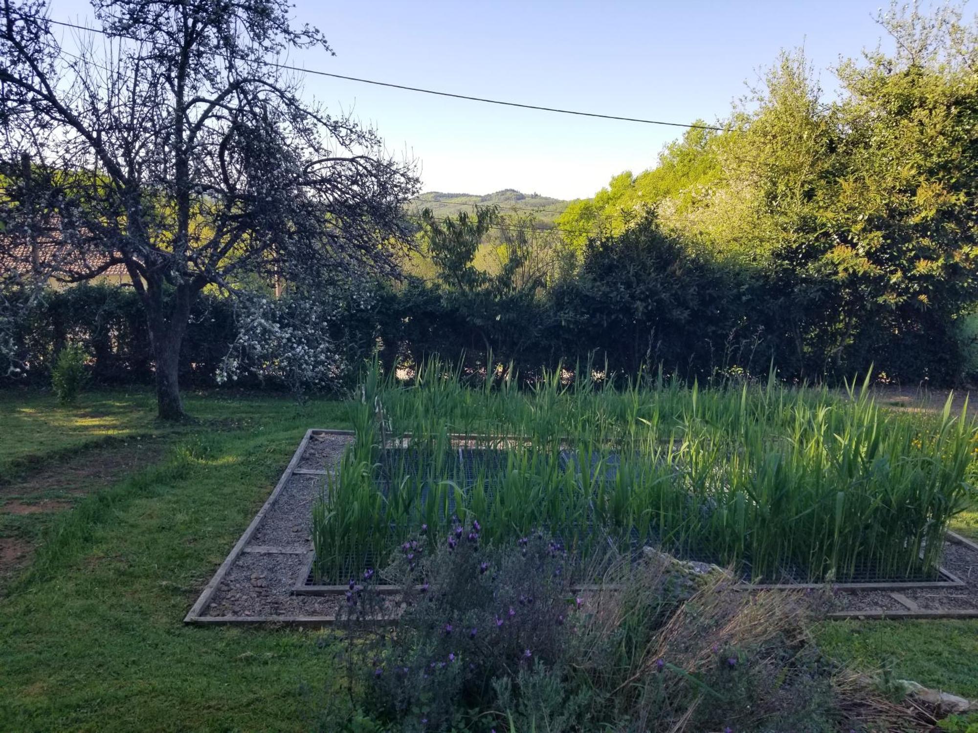 Le Petit Paradis, Mini Maison,Nature,Confort,Calme Saint-Julien-le-Petit Εξωτερικό φωτογραφία