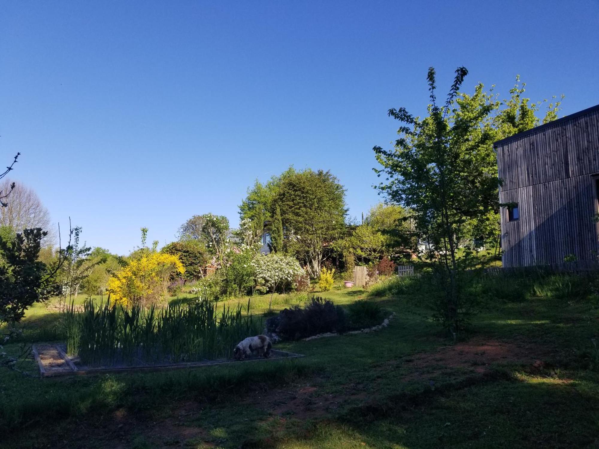 Le Petit Paradis, Mini Maison,Nature,Confort,Calme Saint-Julien-le-Petit Εξωτερικό φωτογραφία